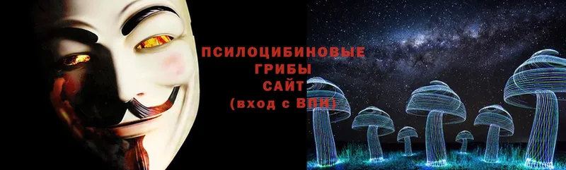 Галлюциногенные грибы Cubensis  даркнет сайт  Миньяр 